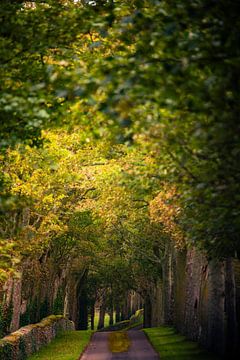 Herfst steegje van Robert Ruidl