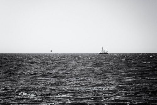 De vogel en het schip.