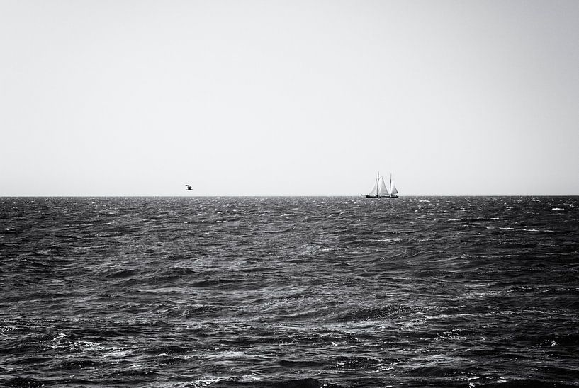 Der Vogel und das Schiff. von Friso Kooijman