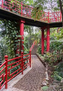 Japanese garden on maadeira island von ChrisWillemsen