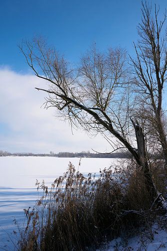 Meer op een winterse dag