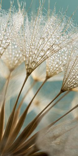 Verticaal landelijk panorama: Goudbruine pluisjes met turquoise