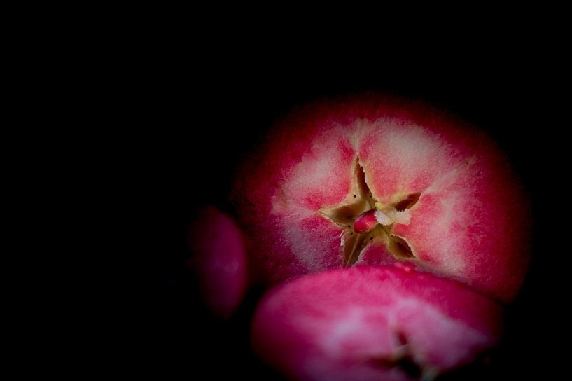 Red Love Appels van Anne Van Opdorp