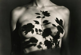 Nackter Torso mit Blütenschatten von Retinas images