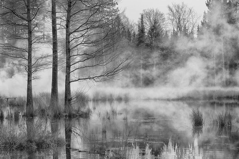 Nuenen Wälder mit Nebel von Wendy Hilven