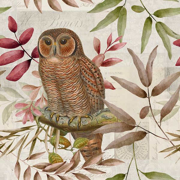 Impression d'automne avec une chouette par Andrea Haase