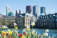 Hofvijver Binnenhof Den Haag