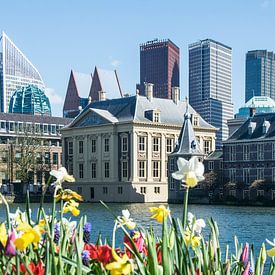 Hofvijver Binnenhof La Haye sur Caroline Drijber