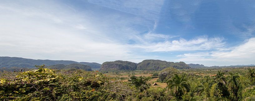 Mojotes from Vinales by Fromm me pictures