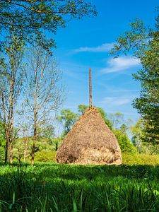 Heuschober im Spreewald bei Lehde
