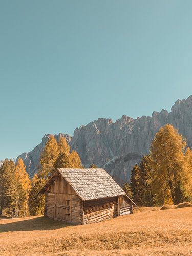 alpenhoed