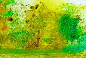 Sommer im Wald