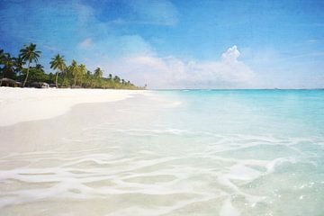 Vacances dans les Caraïbes sur Heike Hultsch