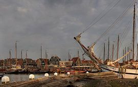 Een volle haven von Jack Tol