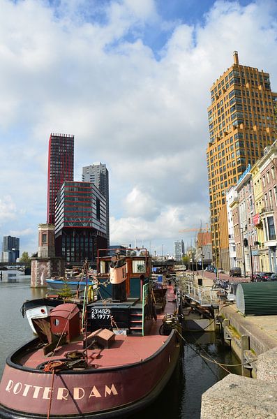 Rotterdam oud en nieuw van Marcel van Duinen