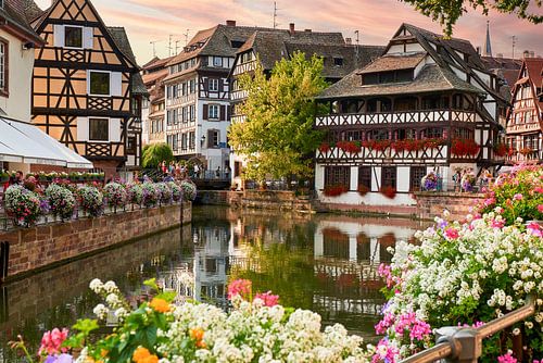 Ein Blumenmeer in der Altstadt von Straßburg