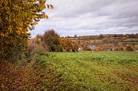 Herfst in Wahlwiller van Rob Boon thumbnail