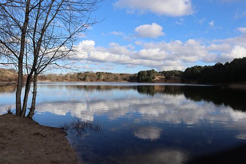 Weerspiegeling in het water bij Bloemendaal aan Zee