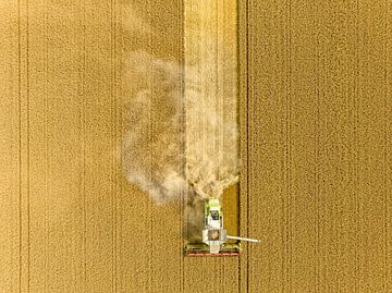 Combine harverster oogst tarwe tijdens de zomer van Sjoerd van der Wal Fotografie