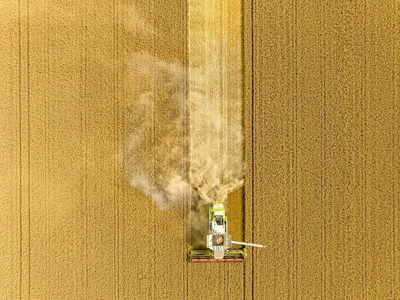 Combine harverster harvesting wheat during summer by Sjoerd van der Wal Photography