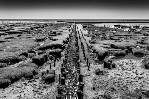 Kust van Groyne (zwart-wit)