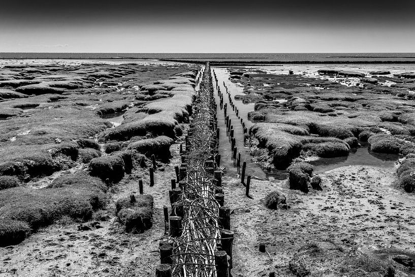 Buhnenküste (schwarz-weiss) von Orangefield-images