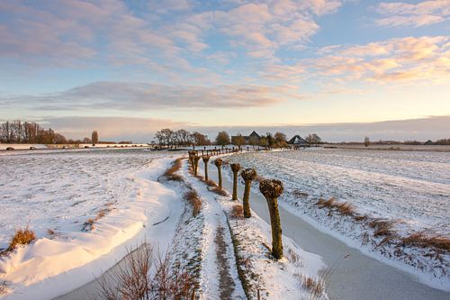 Blick auf die Warft bei der Kakelepost in Schagen.