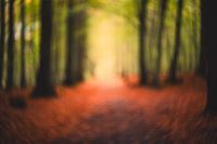 Herbsttraum