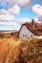 Sommertraumhaus von Daniela Beyer