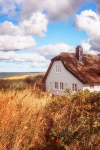 Sommertraumhaus