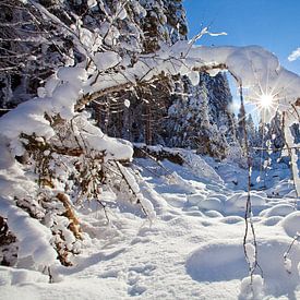 Traumhafte Winterlandschaft von Christa Kramer