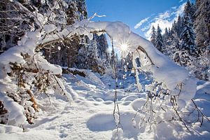 Traumhafte Winterlandschaft
