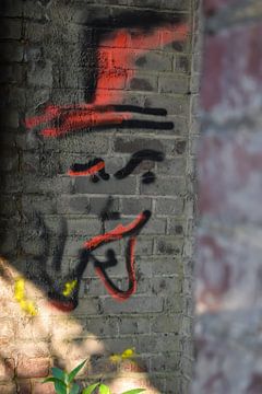 Mauer mit Graffiti van Julian Röhr