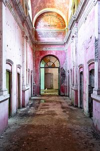 Couloir abandonné en décomposition avec Cat. sur Roman Robroek - Photos de bâtiments abandonnés
