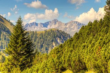 Blick auf die Berge Österreichs von Pauline Paul