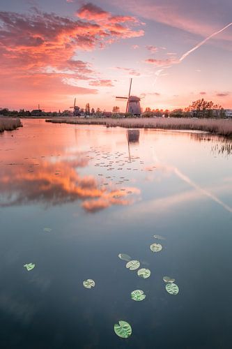 Mühle im Spiegel bei Sonnenuntergang mit ruhigen Farben