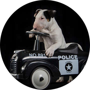 Bull terrier pup bij de politie. van Esther Bax