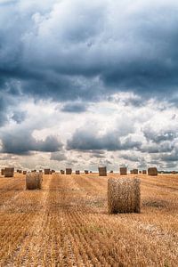 Hooibalen in het veld
