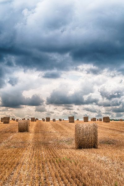 Hooibalen in het veld by Elles Rijsdijk