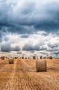 Hooibalen in het veld by Elles Rijsdijk thumbnail