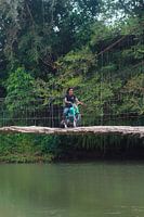 Bamboo bridge