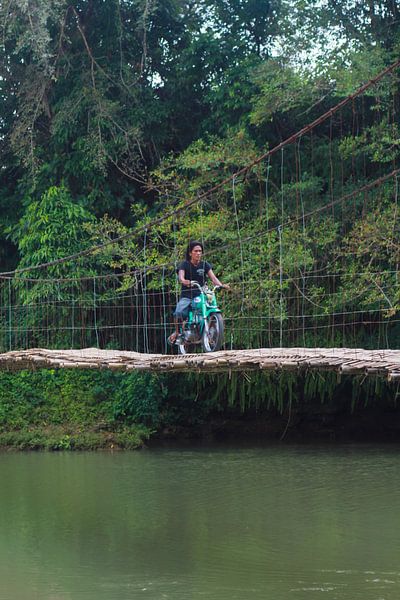 Bambusbrücke von Martijn Stoppels