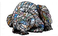 Slapende ijsbeer by Ruud van Koningsbrugge thumbnail