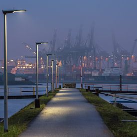 Rotterdam Harbour 2 by Erik de Jong