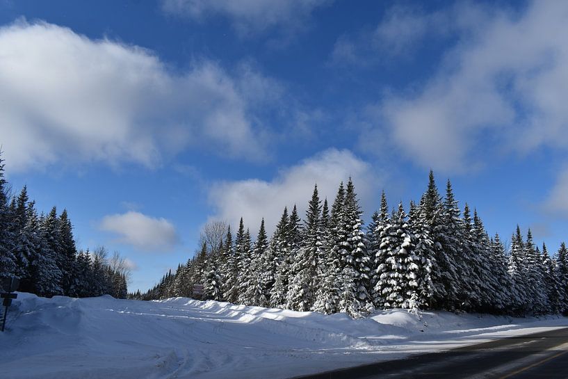 A country road in winter by Claude Laprise