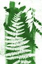 Abstract green leaves by Lies Praet thumbnail