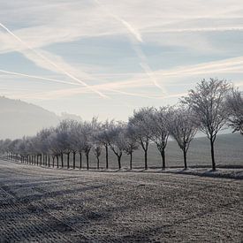 The sleeping fortress: Winter morning magic at Wachsenburg Castle by Christian Möller Jork