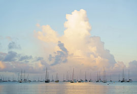 Boote in einer Bucht, Saint-Anne, Martinique von Zane Magone