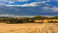 On the road in New Zealand by Henk Meijer Photography thumbnail