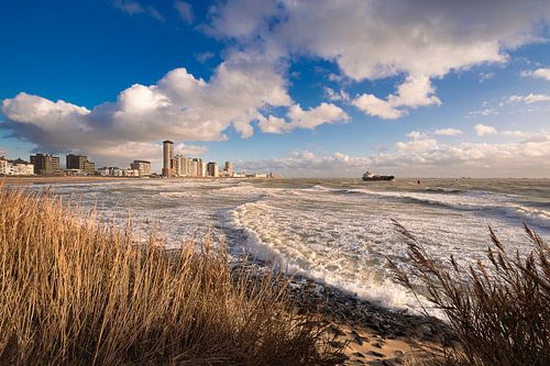 Flushing by the sea